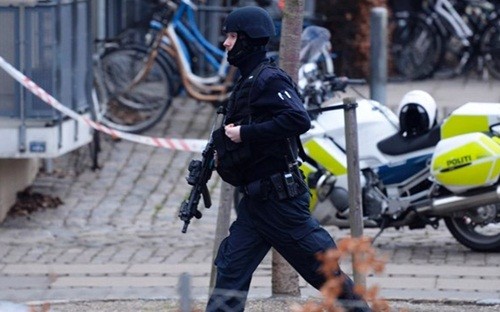 Мировое сообщество осудило обстрелы в Дании - ảnh 1
